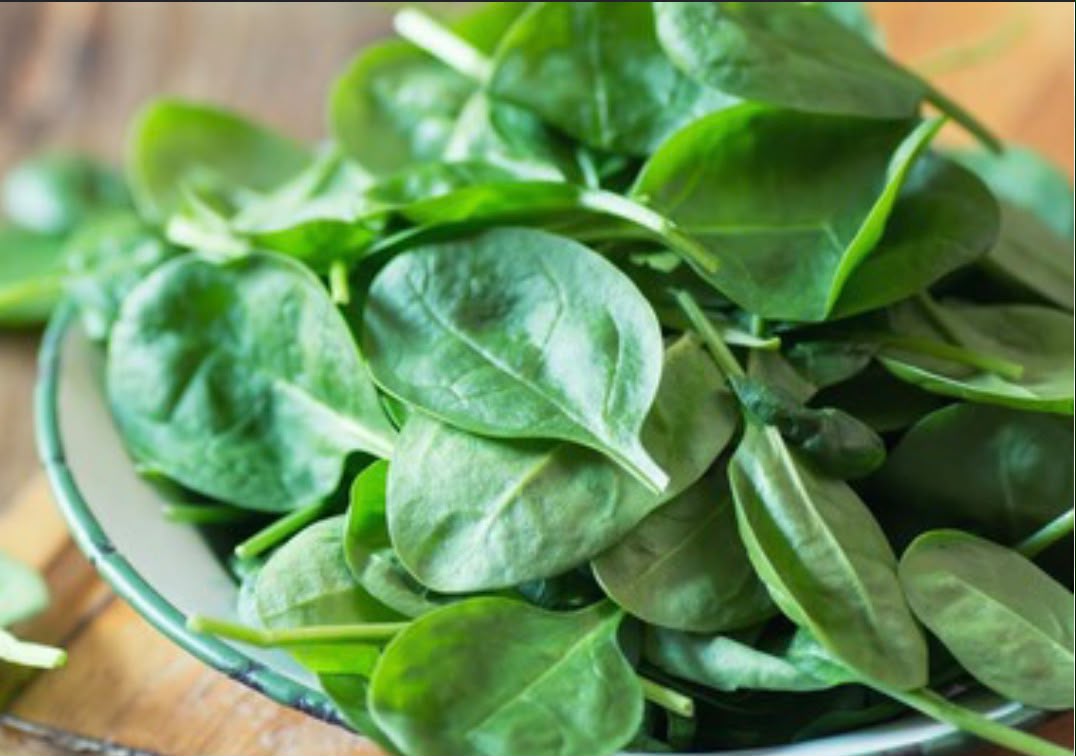Verduras Fresquisimas